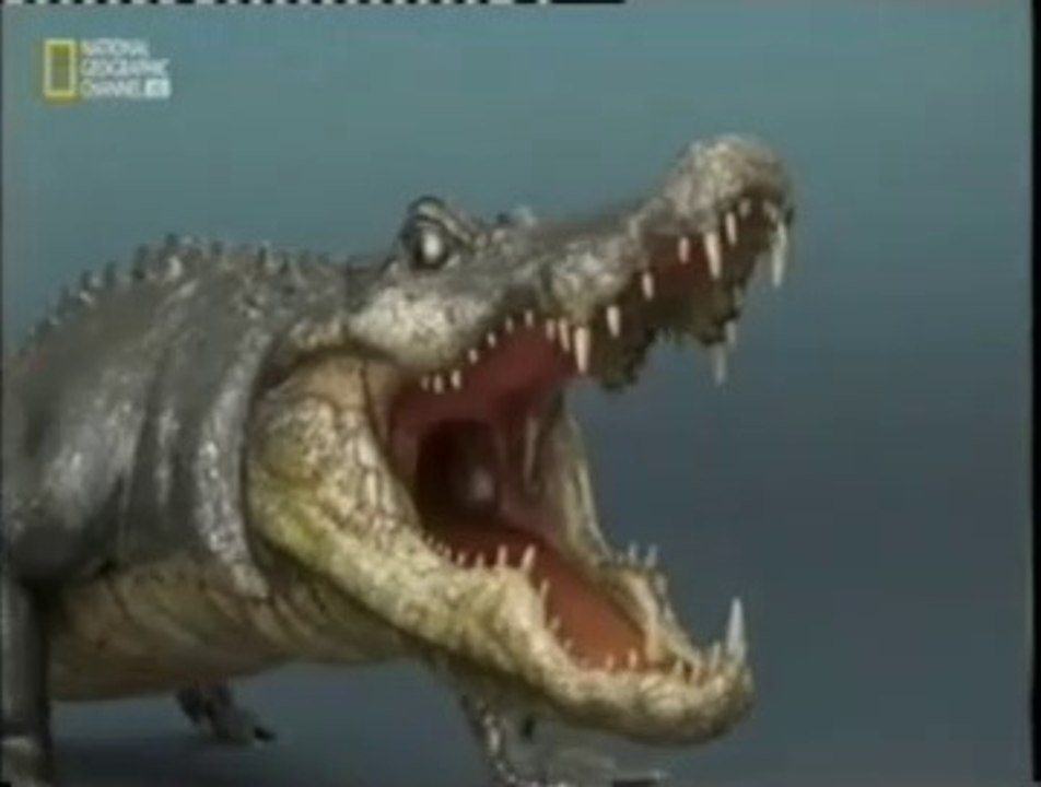 Ataque de caiman: Acierta o muere