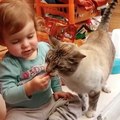 These Kids Are Feeding Their Animal Friends