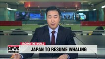 Japan announces withdrawal from International Whaling Commission to resume commercial whaling from 2019