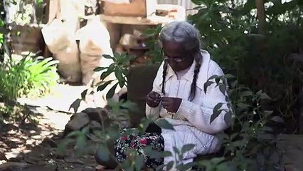 A Addis Abeba, l’héritage architectural écrasé par la modernité