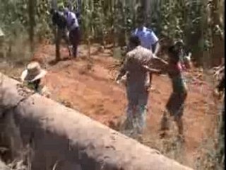 GMO civil disobedience -  Aug. 2007 - Portugal