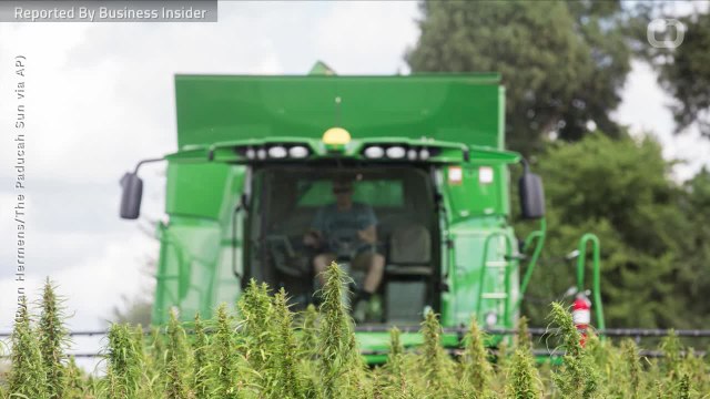 Regulators Fire 'Warning Shot' At The New $1 Billion Legal Hemp Industry