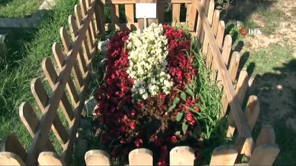 Naim Süleymanoğlu’nun babalık davasında karar kesinleşti