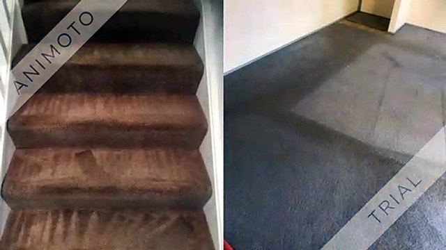 Cheap Carpet Cleaning Services Canberra