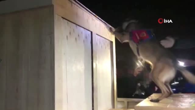 Jandarma Ekipleri 260 Kilo Bonzai Ham Maddesi Ele Geçirdi