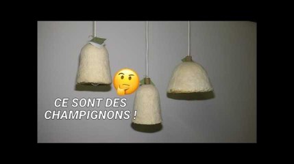 下载视频: Cette entreprise zéro déchet fabrique des lampes avec des champignons