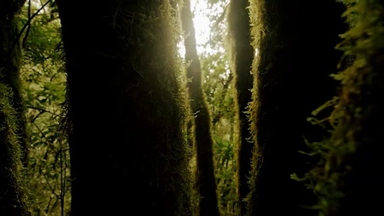 Vers 30- Naturaleza V3 EN