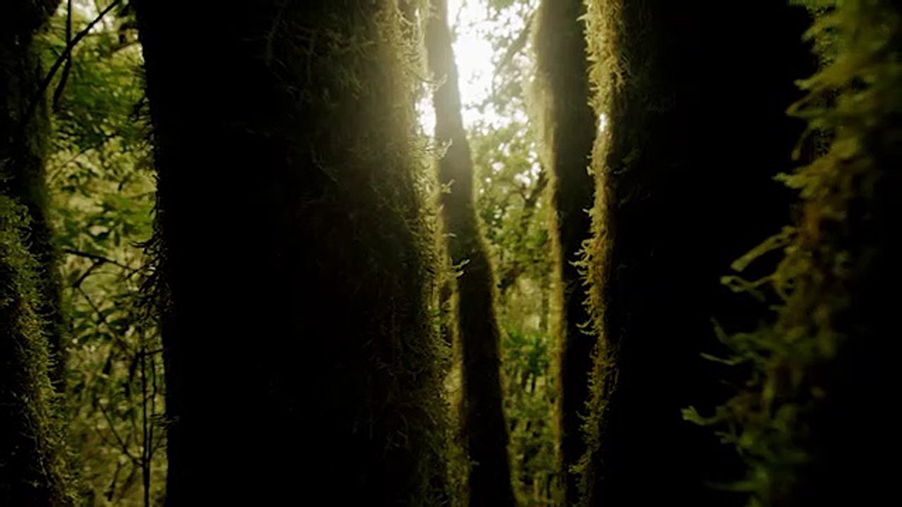 Vers 30- Naturaleza V3 ES