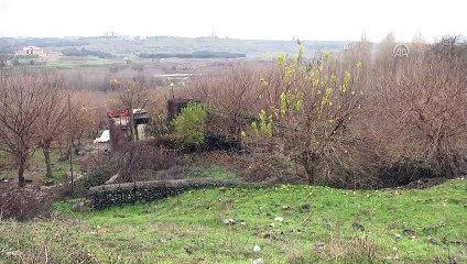 Diyarbakır millet bahçesine kavuşuyor