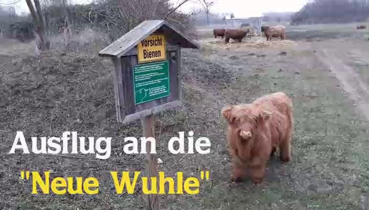 Ausflug an die "neue wuhle"