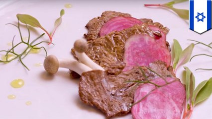 Aleph Farms created the first lab-grown steak