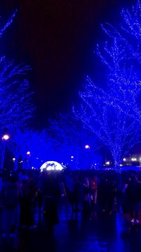 Japan Tokyo Shibuya Blue Parks