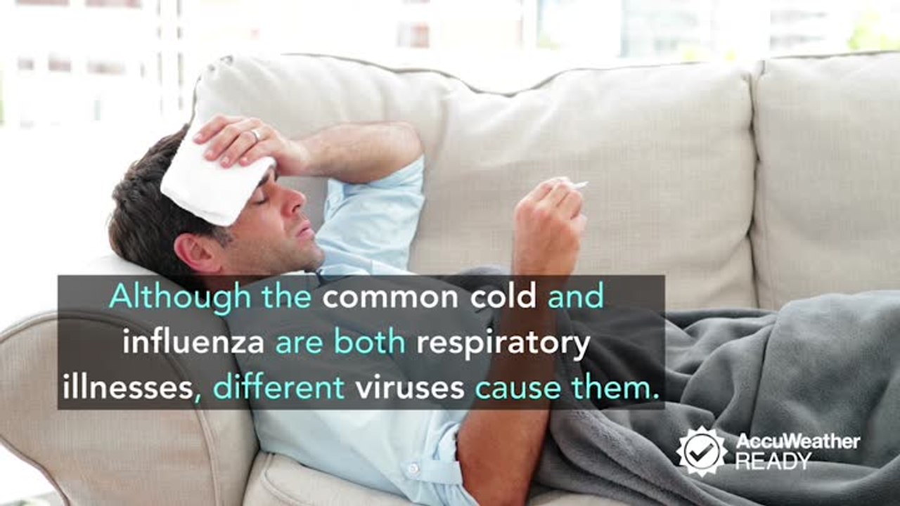 Difference between influenza and the common cold