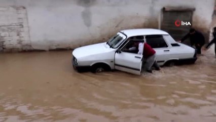 Sel Duvarları Yıkıp Hayvanları Telef Etti