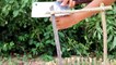 Unbelievably Helpful DIY The First Technology Trap using Electric Fan | Electric Fan Bird Trap