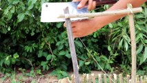 Unbelievably Helpful DIY The First Technology Trap using Electric Fan | Electric Fan Bird Trap