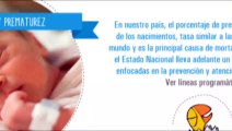 La Fundación BOD celebrará la Semana del Prematuro entérate con Victor Vargas Irausquin