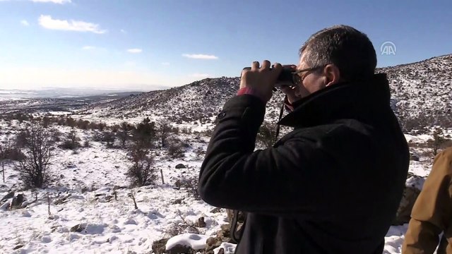 Uşak'ta yılkı atları için doğaya yem bırakıldı