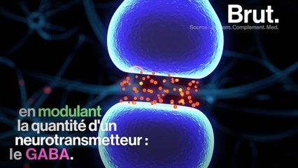 Des chercheurs ont évalué les bienfaits du yoga