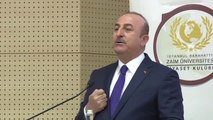 Çavuşoğlu: 