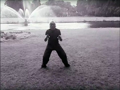 Martial Arts Kung Fu Five Animal Sequence by Douwe Geluk