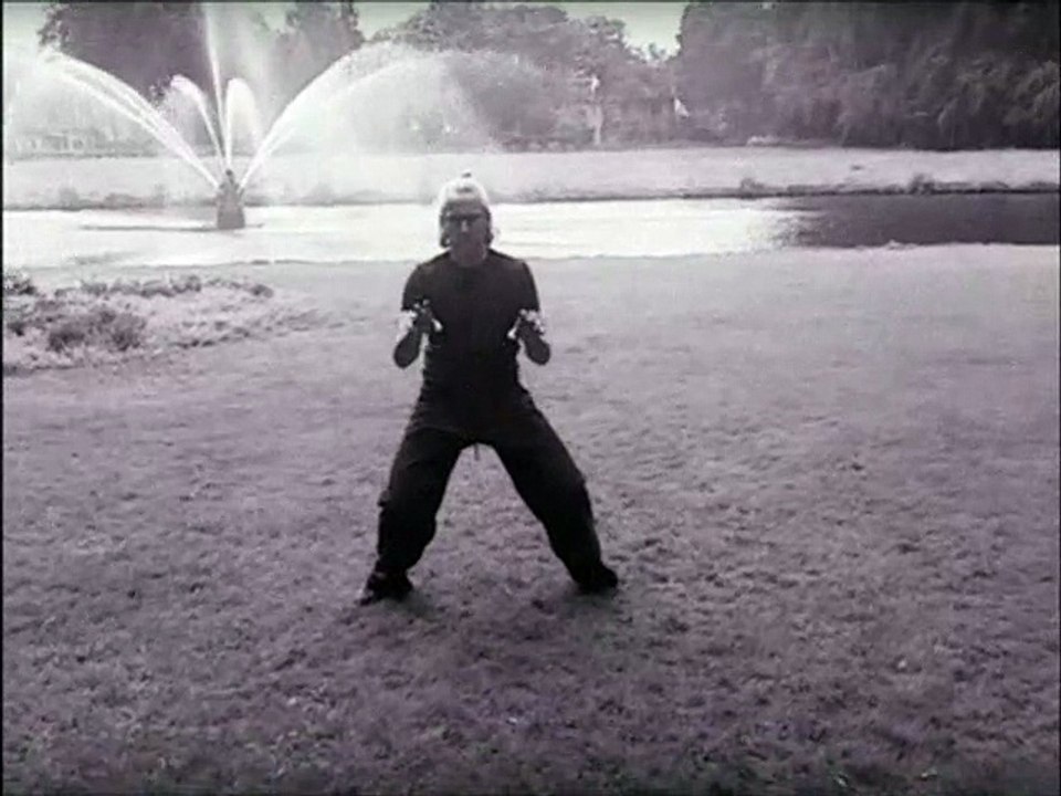 Martial Arts Kung Fu Five Animal Sequence by Douwe Geluk