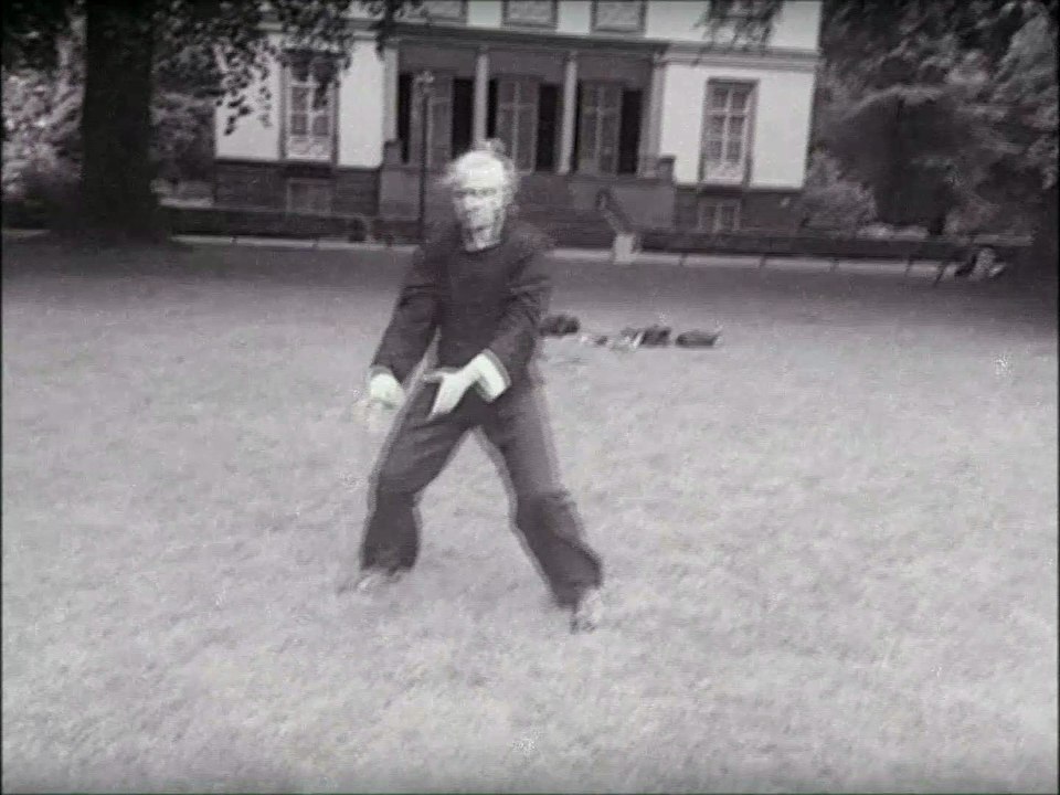 Basic Five Animal Tai Chi Chuan Form by Douwe Geluk