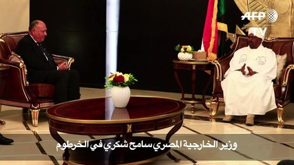 مصر تؤكد دعمها للسودان وسط احتجاجات مناهضة لحكومة البشير