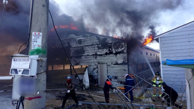 양계장 신축 공사 현장서 불...8,400만 원 피해 / YTN