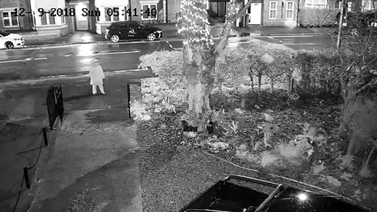 Mamie coupe les décorations de Noel aux ciseaux en pleine ville !