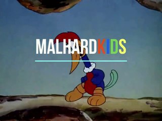 01 Pica-Pau Biruta (Dublado)