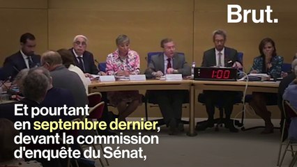 Passeport diplomatique de Benalla : ce qu'il disait devant la commission d'enquête