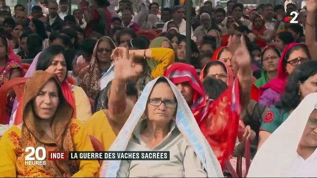 Inde : hindous et musulmans, la guerre des vaches sacrées