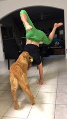 Playful Pooch is Not Interested in Doing Downward Dog
