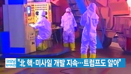[YTN 실시간뉴스] "北 핵·미사일 개발 지속...트럼프도 알아" / YTN