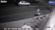 La vidéo émouvante d'un chien abandonné en pleine route qui tente de rentrer dans la voiture de son maitre