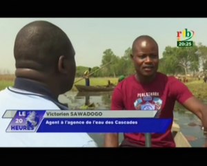 RTB/Lac de Tingrela - des plantes trop envahissantes