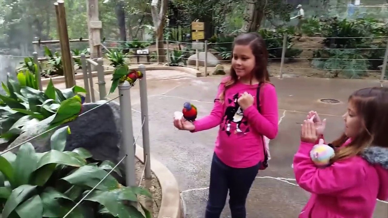 Funniest Animals Scaring People Reactions of 2018 Compilation | Funny Pet Videos