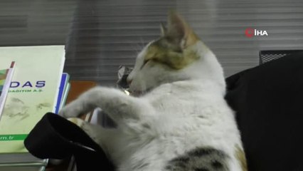 Kışın Doğalgaz Peteğin Yanı Onlara Ait