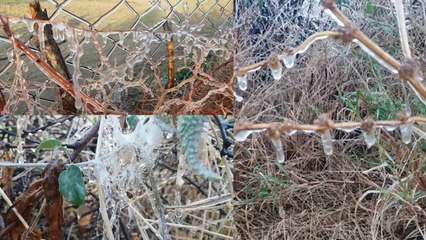 सीकर में सर्दी का सितम जारी, 4 दिन से माइनस में है तापमान