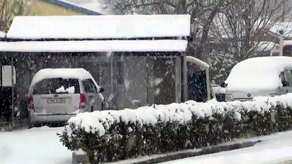 [날씨] 얼음에 갇힌 강원도, 폭설에 뒤덮인 서해안 / YTN