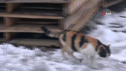 Erzincan’da kar nedeniyle 219 köy yolu ulaşıma kapandı