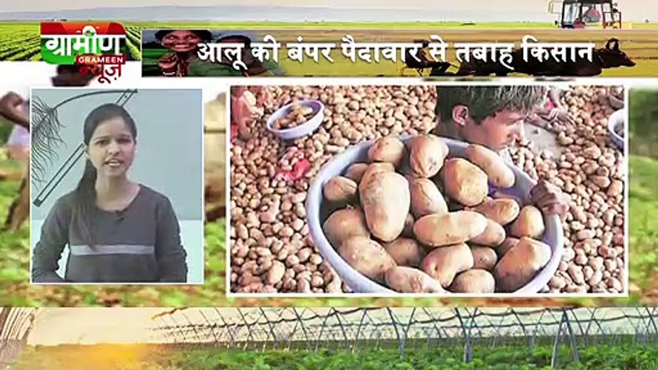 Kisan Bulletin - यूरिया से भरा ट्रक देखते ही टूट पड़े किसान | Grameen News