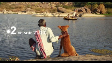 [BA 4] Le plus bel ami de l’homme - 3/01/2019