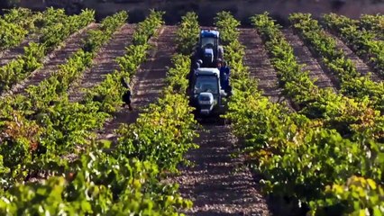 Bodegas Valdemar y su reto de saltar a EEUU reciben el Premio Pyme de Álava