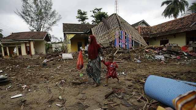 Indonesia, i rinoceronti Giava l'ultima specie vivente in pericolo