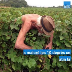 Retro_2018 : les infos insolites (2)