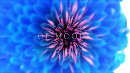 Shapoorji Pallonji Joyville Sector 102 Gurgaon Living Concept 8010177006