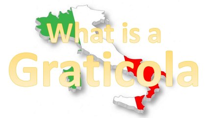 What is a Graticola? - POV Italian Cooking Special Episode