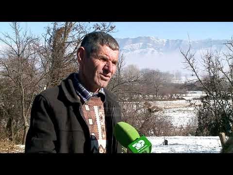 “Farërat na dëmtuan”. Fermerët në Korçë ankohen edhe për pesticidet - Top Channel Albania